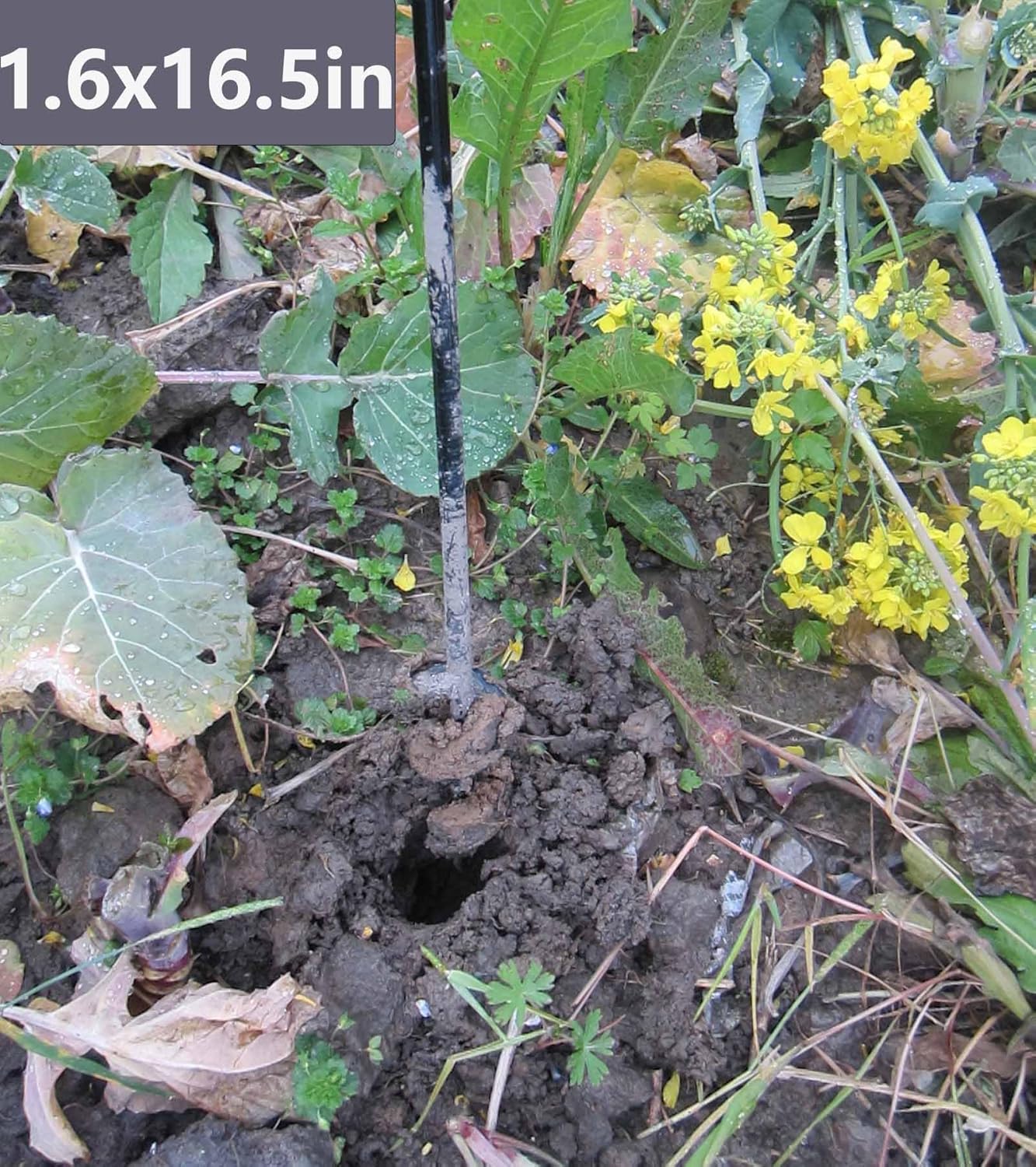 TCBWFY Garden Auger Drill Bit for Planting 1.6x16.5and 3.5x16,Heavy Duty Bulb Planter Tool for Digging Holes,Compatible with 3/8 Hex Drive Drill